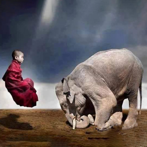 Biểu Tượng Con Voi Trong Phật Giáo