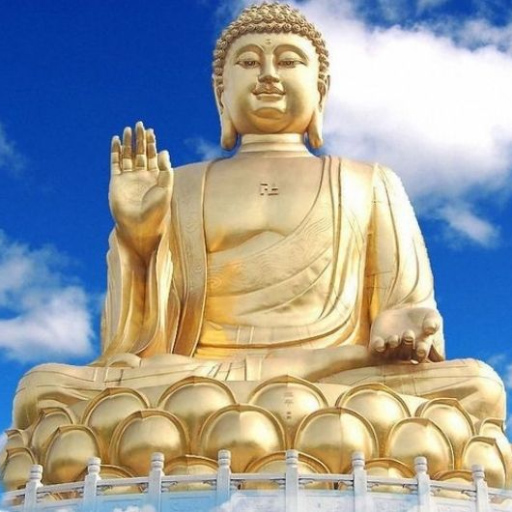 Hình Tượng Phật A Di Đà Ngồi