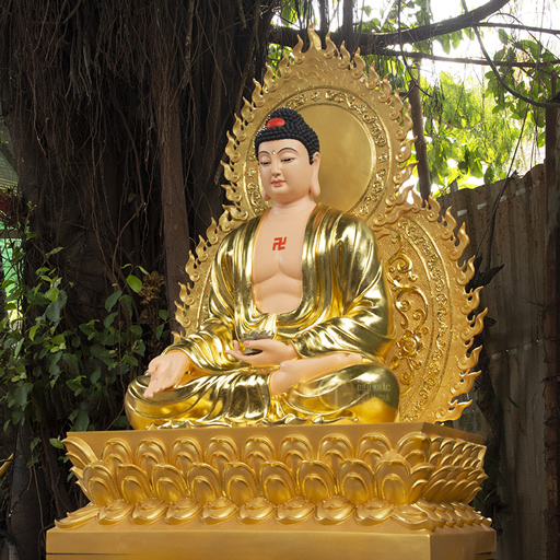 Vệ Sinh Tượng Phật A Di Đà Composite